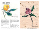 The Rose