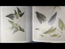 Vegetables (V1) - Vegetables, Fruits, Insects & Aquatic Life