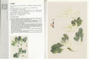 Vegetables (V1) - Vegetables, Fruits, Insects & Aquatic Life
