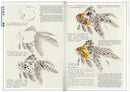 Drawing Goldfish & Golden Carp by Lin Hu-kuei