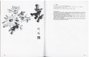 Fundamentals of Chinese Floral Painting: Chrysanthemum V4