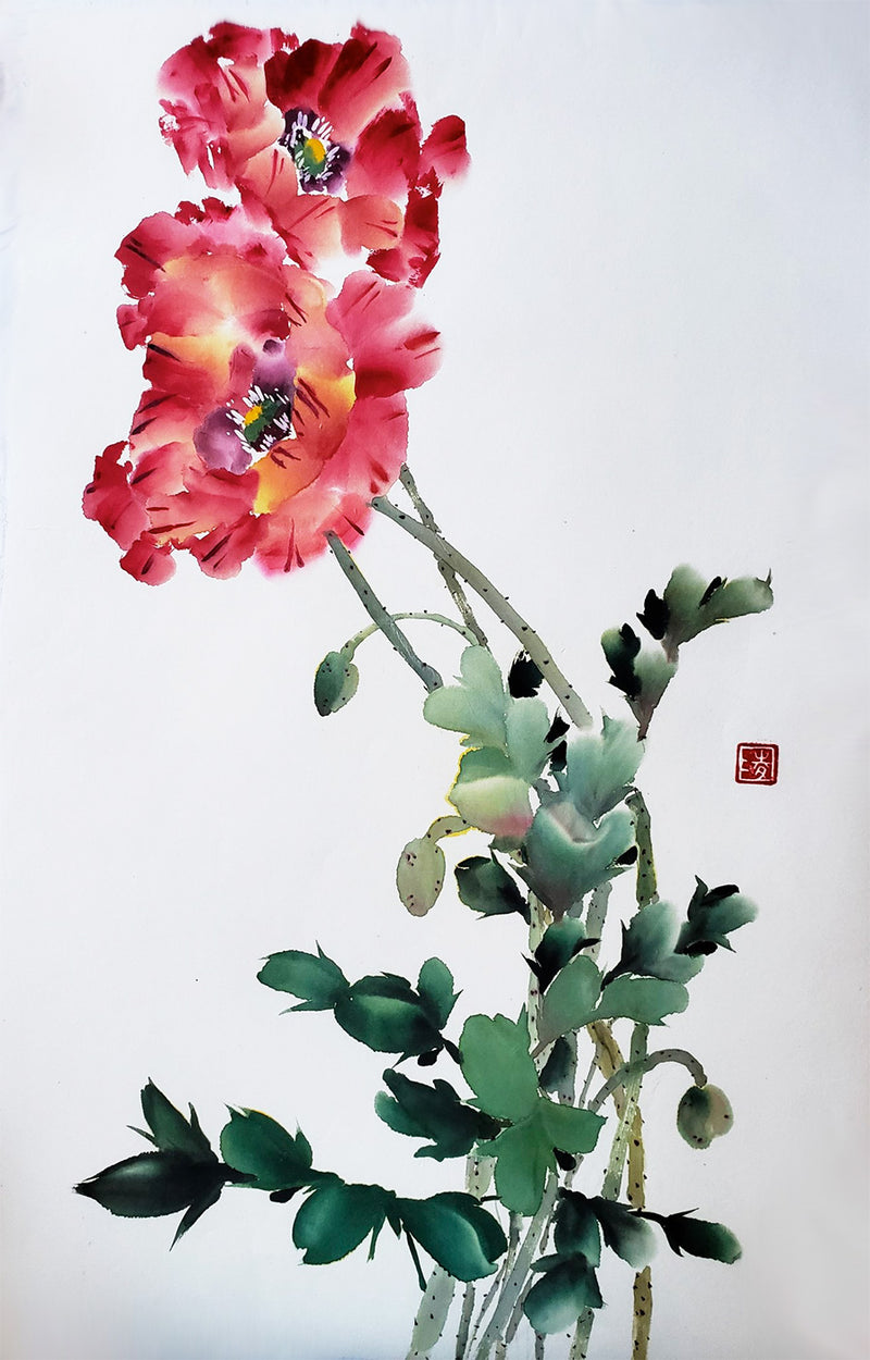 Anemone Poppy By Christel Lane