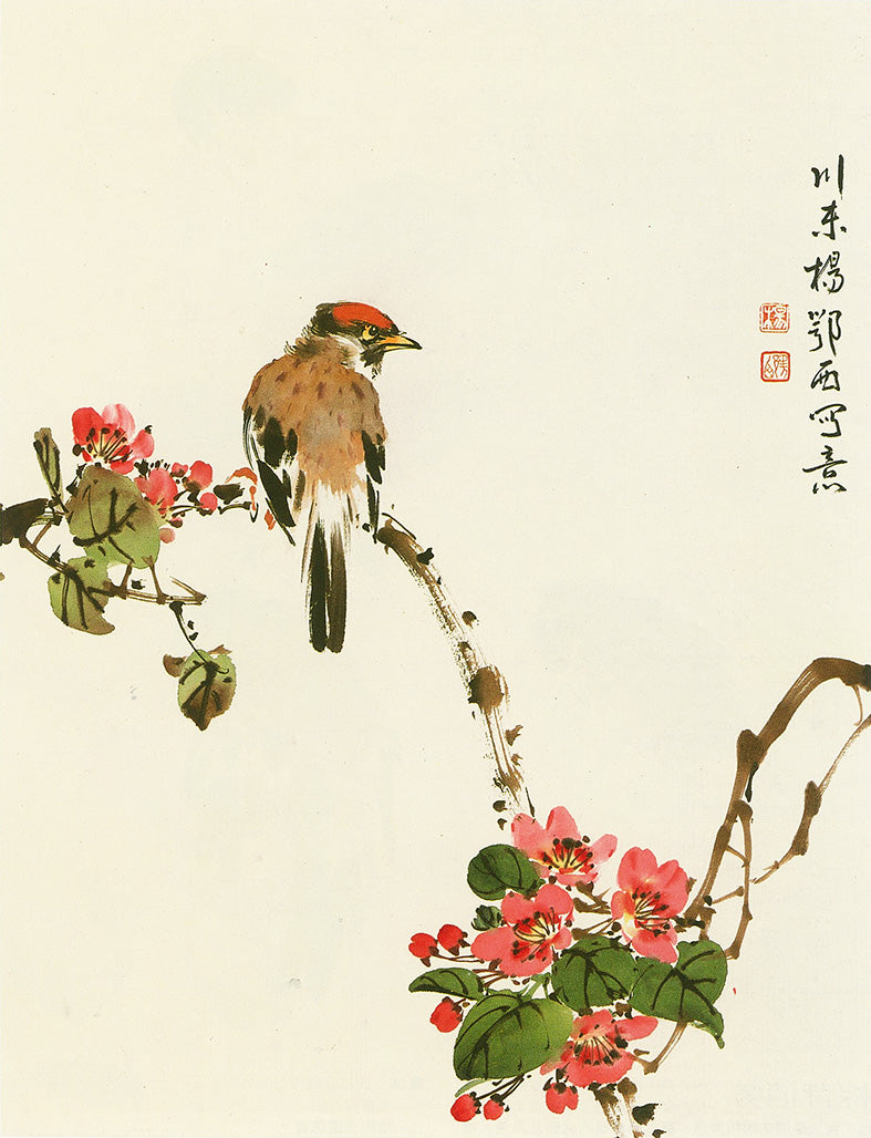 Red Headed Babbler by O-shi Yang