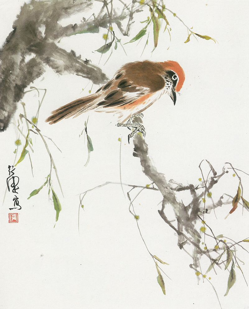 Bird Painting by Chien Hsing-chien