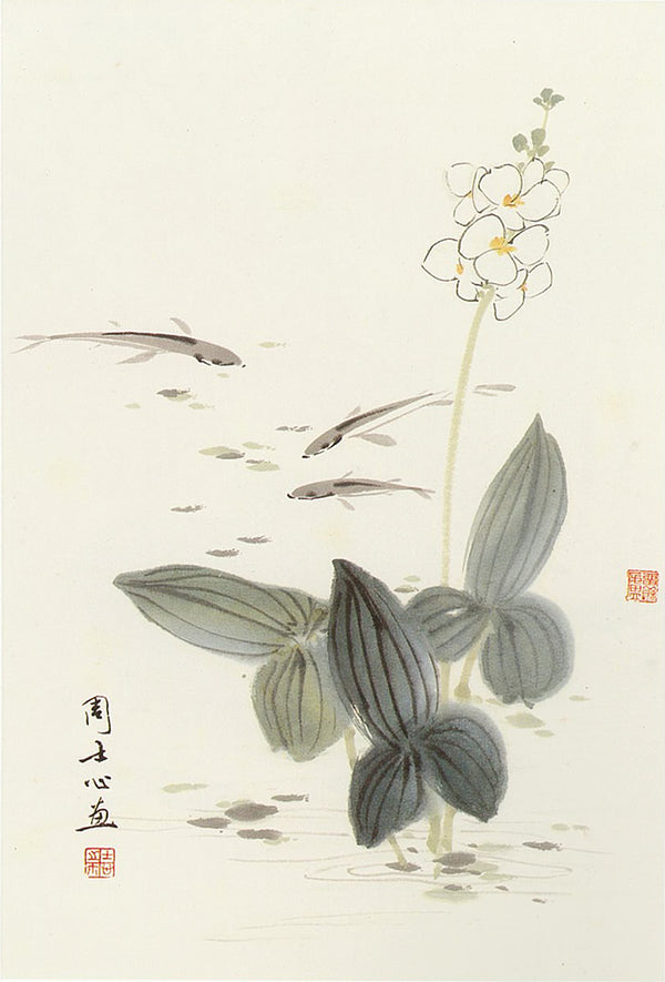 Fish and Arrowhead Flower Painting by Johnson Su-sing Chow