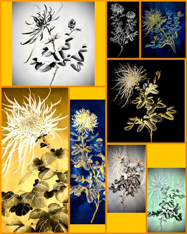 Leigha Nicole Chrysanthemum Class Series