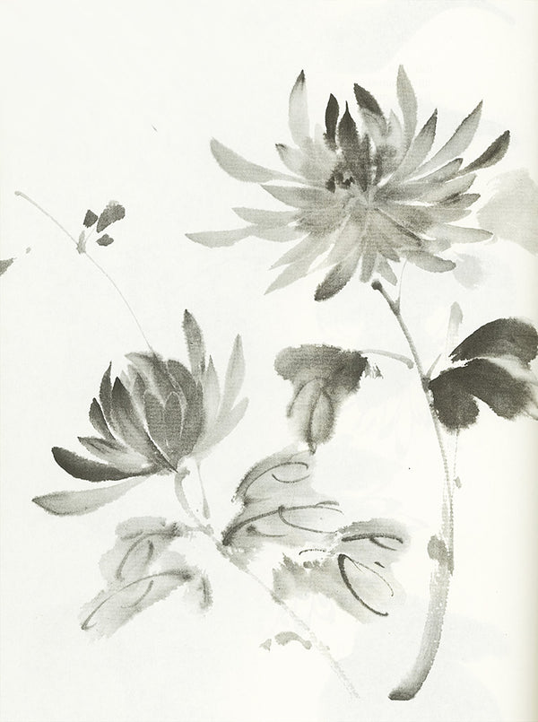 Chrysanthemum Painting from Magic of the Brush