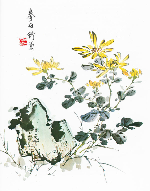 Chrysanthemum and Rock by Su-sing Chow