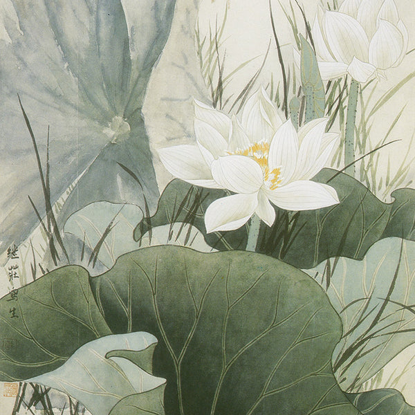 dragonfly-whitelotus-