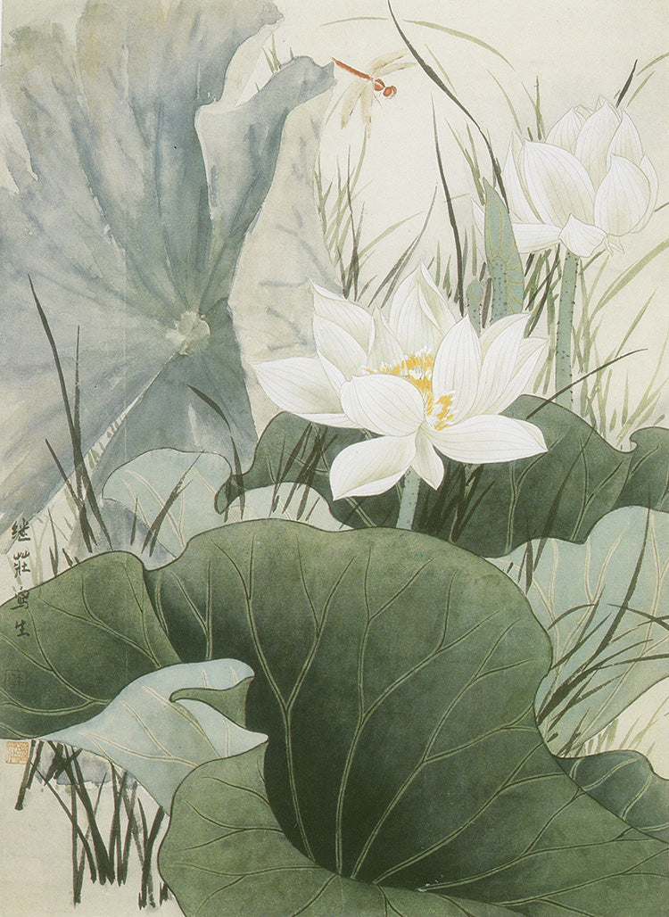 Dragon Fly and White Lotus by Hsu Chi-chuang
