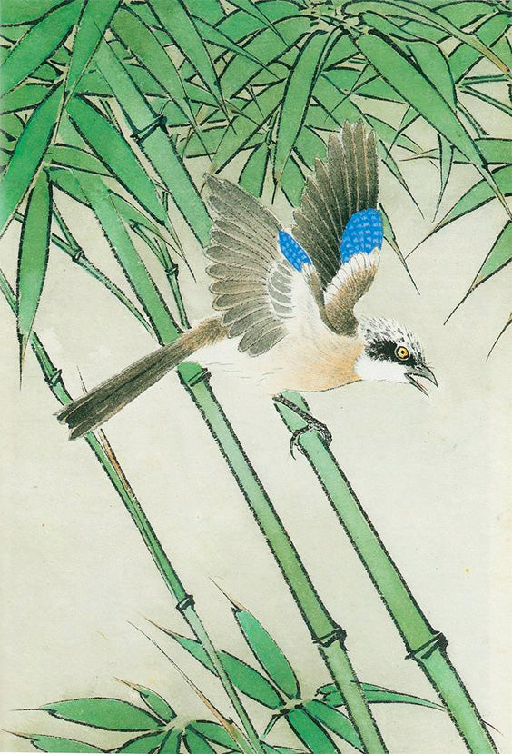 Jay and Bamboo by Yu Chung-lin from Elementary of Bird Painting