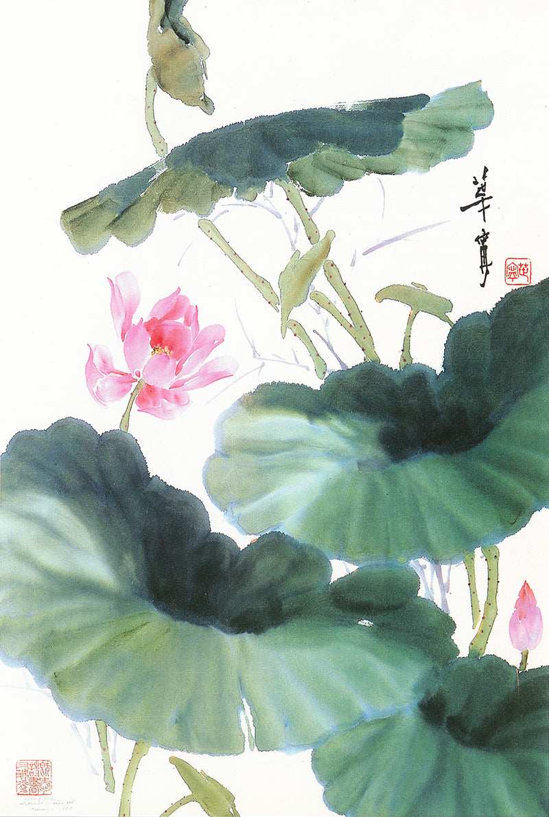 The Green Waves of Summer (Lotus) by Ning Yeh