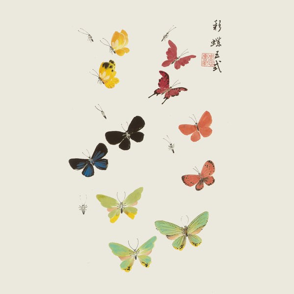 Butterflies by Su-sing Chow