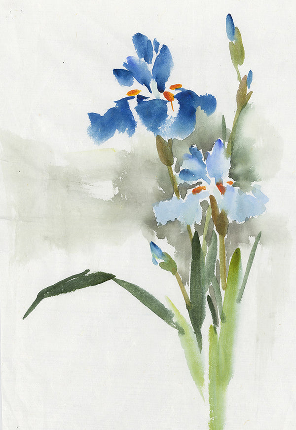 Iris with Background Wash on New Water Dragon Paper