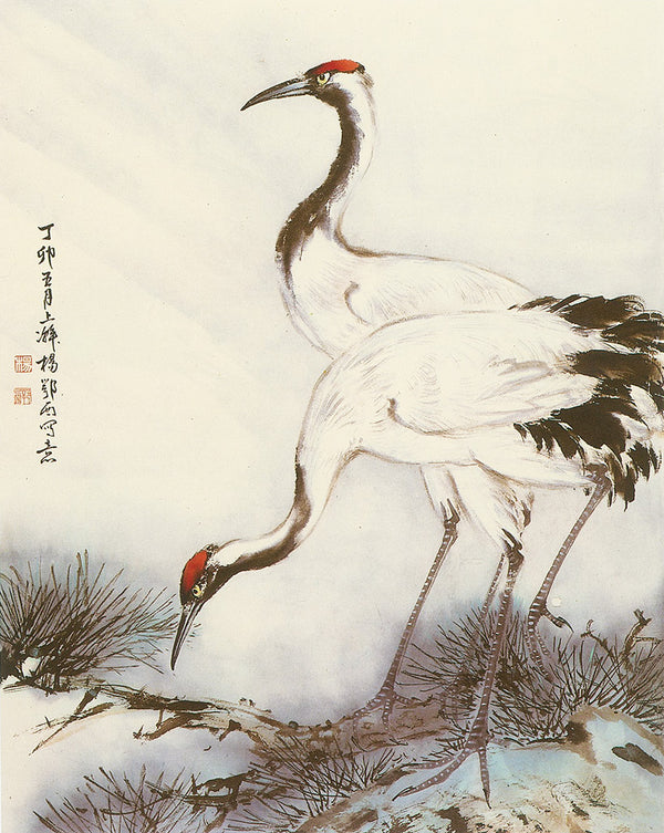 Japanese Crane by Yang O-shi