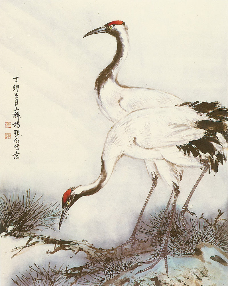 Japanese Crane by Yang O-shi