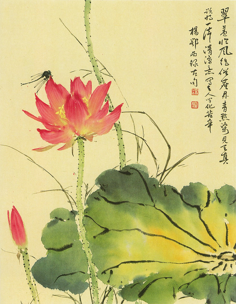 Lotus by Yang O-shi