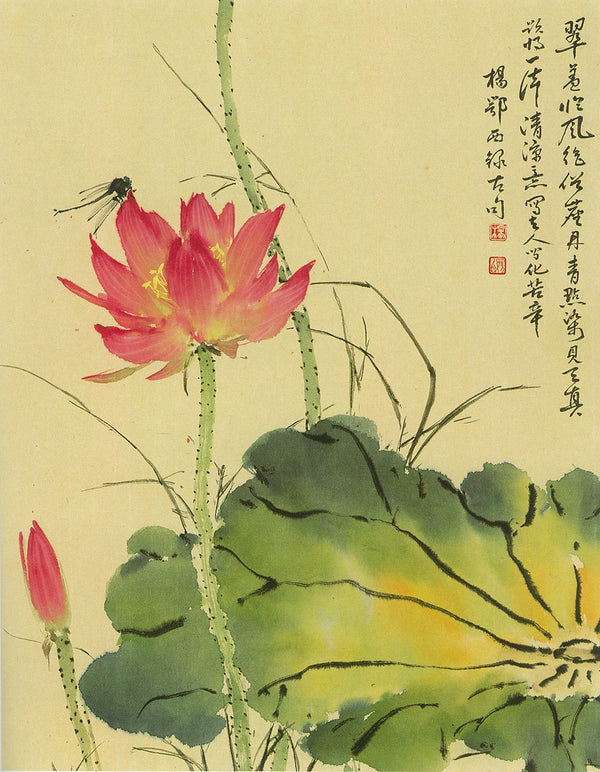 Lotus by Yan O-shi Featured in 100 Flowers