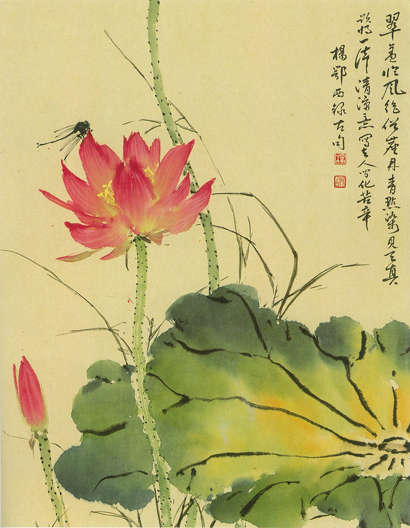 Lotus by Yan O-shi Featured in 100 Flowers
