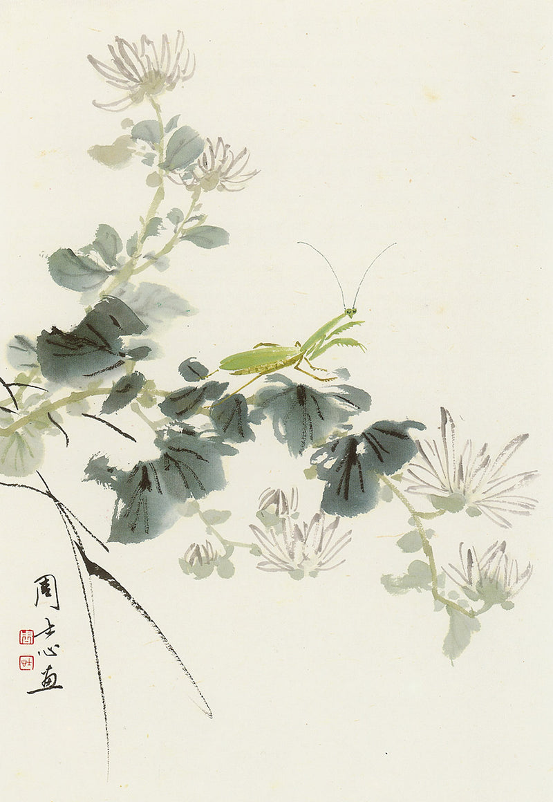 Praying Mantis and Chrysanthemum by Su-sing Chow