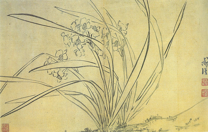 Loose line drawing style Narcissus painting featured in Painting the Narcissus by Chen Wen-Ching