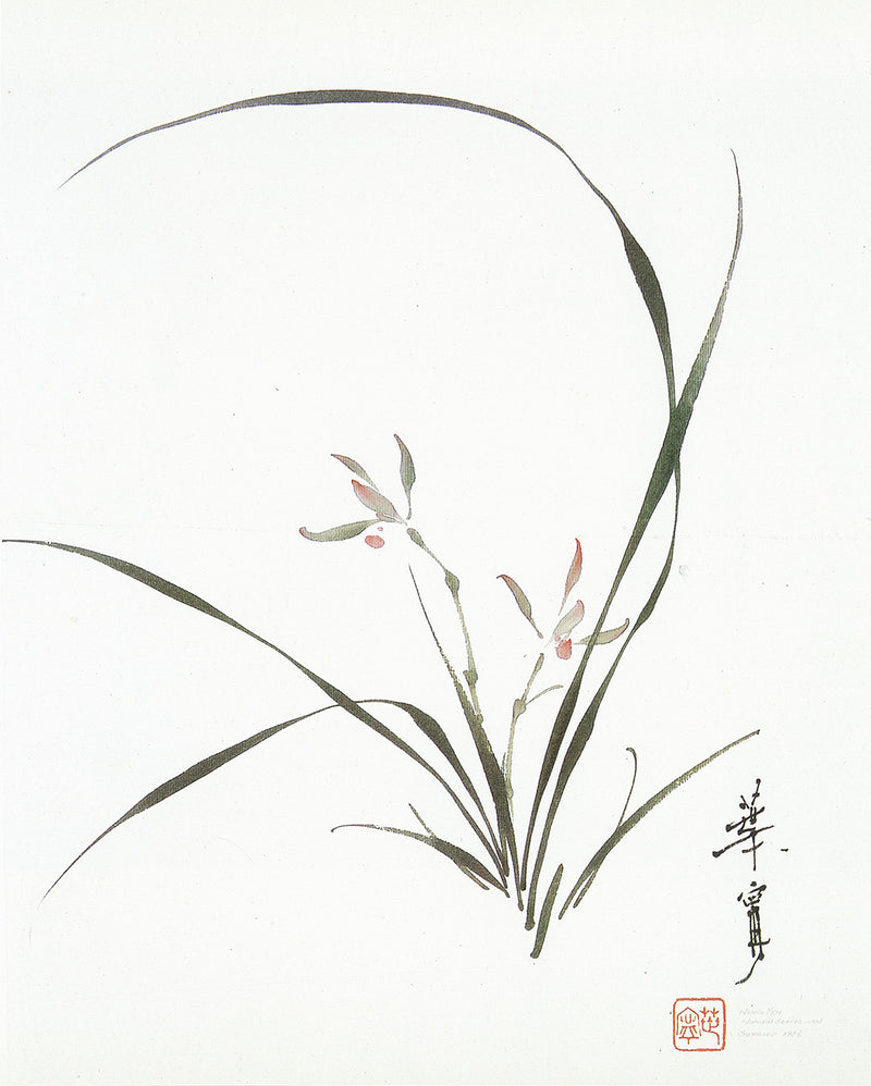 Swinging (Grass Orchid) by Ning Yeh
