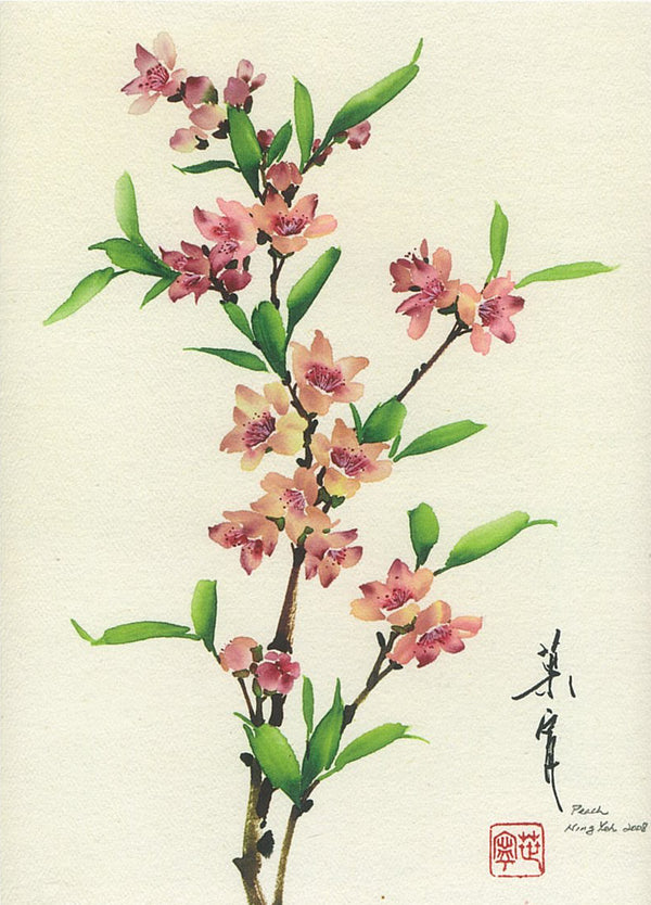 Peach Blossom by Ning Yeh