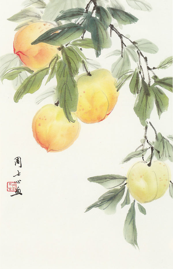 Peaches by Johnson Su-sing Chow