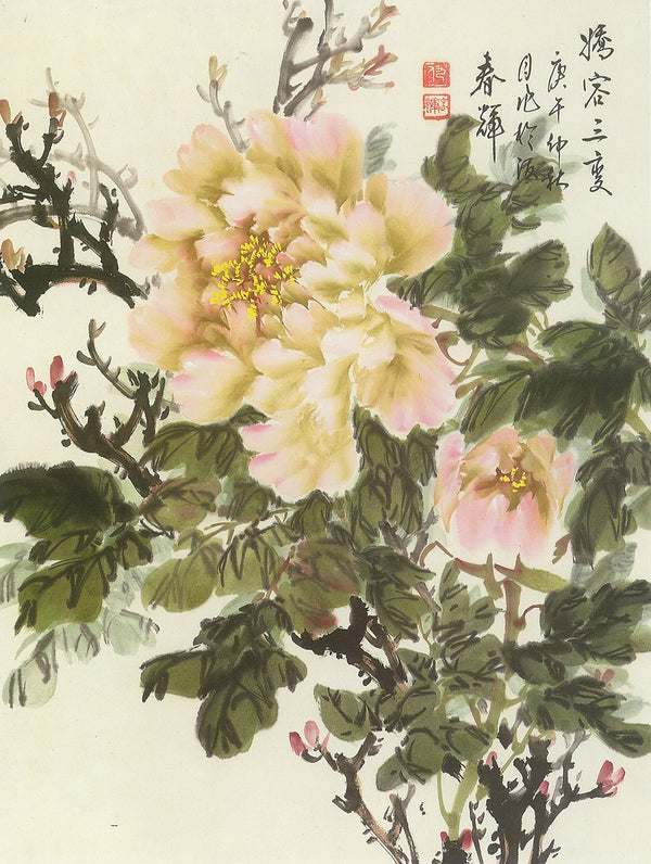 Pink Peony by Chiao Jung-San-Pien