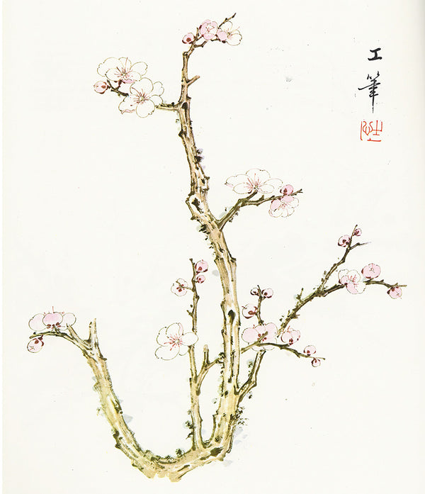 Plum Painting Outline Style from Fundamentals of Chinese