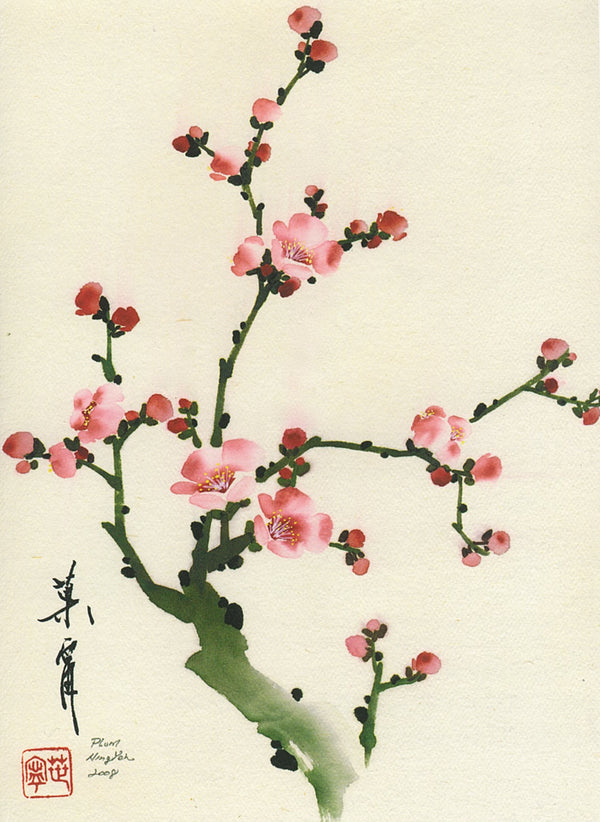 Plum Blossom by Ning Yeh