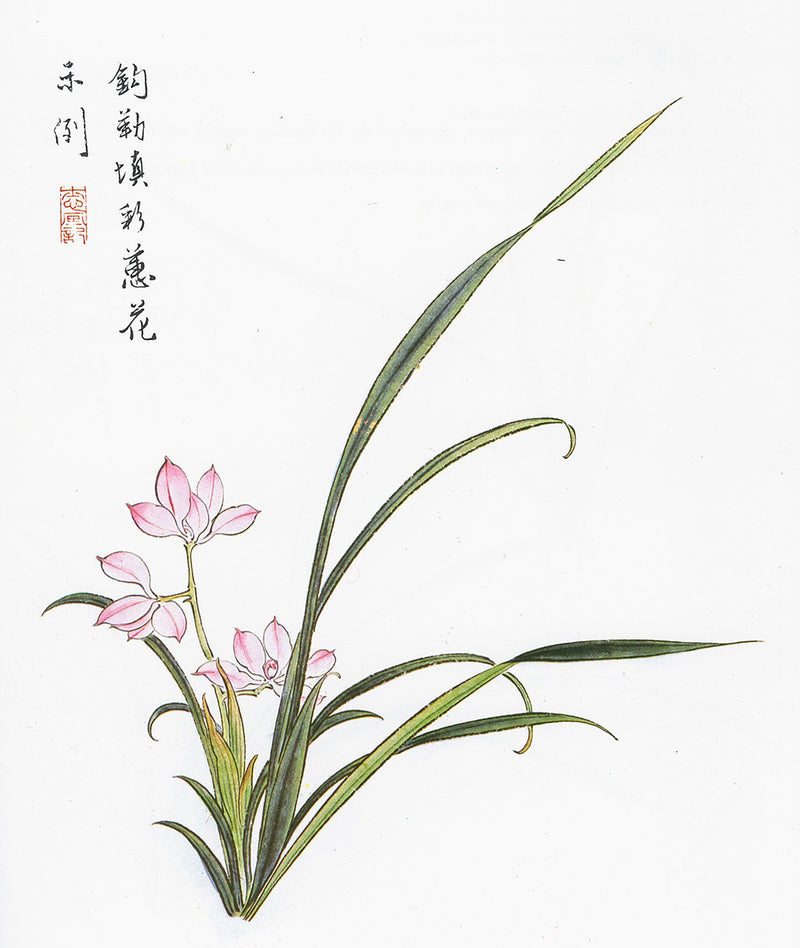 Orchid Paintings by Su-sing Chow from Fundamentals of Chinese Floral Painting Vol. 2: Book of the Orchid