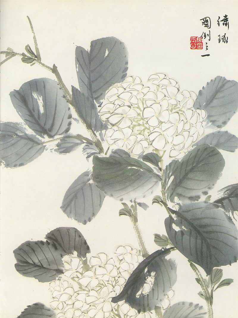 Hydrangea Painting by Su-Sing Chow