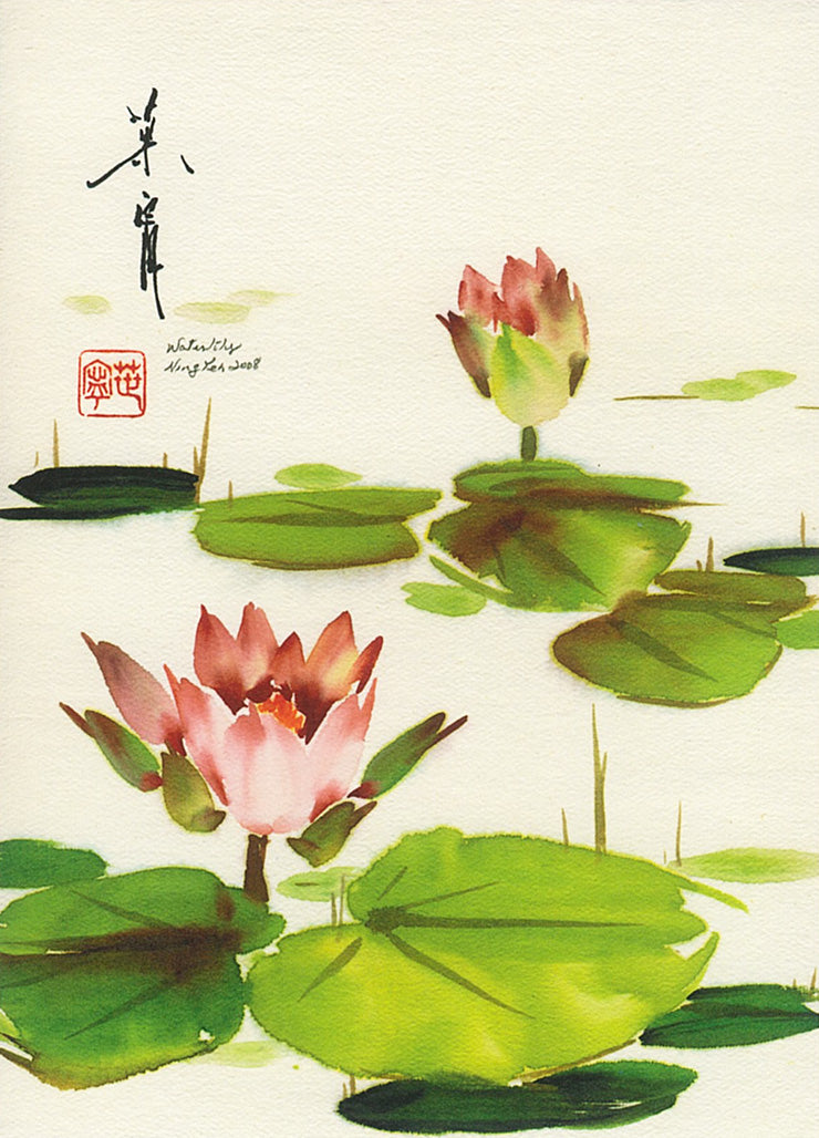 Water Lily by Ning Yeh