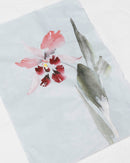 Colored Dragon Cloud: Steel