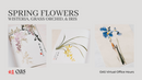 Spring Flowers - Digital Access to Virtual Office Hours Video