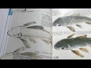 Drawing Goldfish & Golden Carp by Lin Hu-kuei