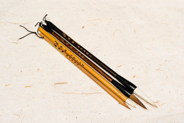 Mayee's Student Brush Set