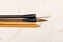 Mayee's Student Brush Set