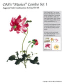 OAS's Combo Set: Suggested Color Combinations