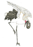 Online Access to Recordings of OAS Fall 2021 Workshops with Ning Yeh and Ling Chi