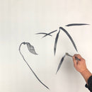 Magic Paper and Magic Cloth