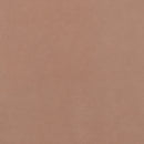 Colored Xuan: Salmon