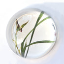 Limited Edition Collectible Paperweights Four Gentlemen by Ning Yeh