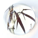 Limited Edition Collectible Paperweights Four Gentlemen by Ning Yeh