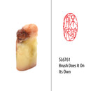 Brush Does It On Its Own