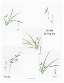Orchid by Ning Yeh