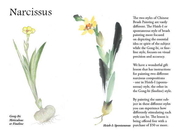 Narcissus Lesson