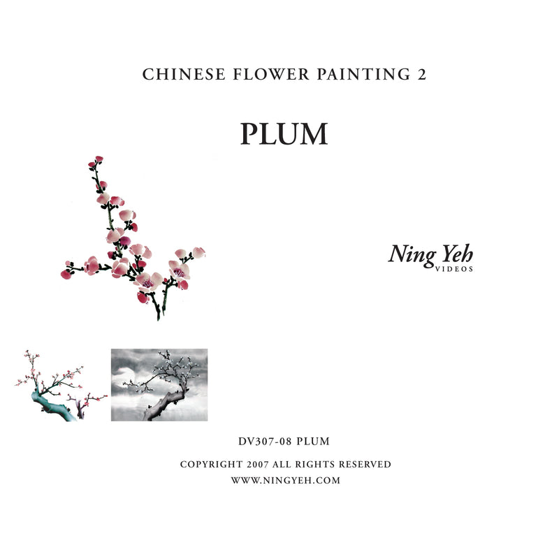 Chinese Flower Painting 2: Plum Video