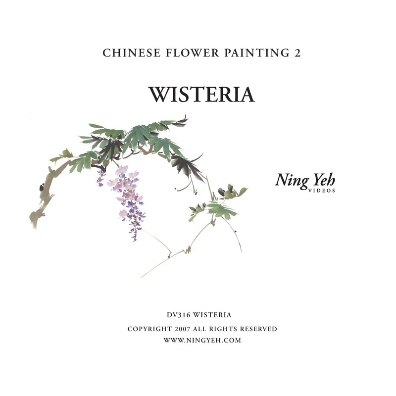 Chinese Flower Painting 2: Wisteria Video
